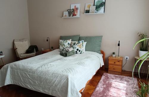 Bekescsaba Apartment | Tulipán Apartman