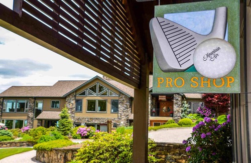 Mountain Air Apartment | Tulip Poplar Suite- Private Club Access