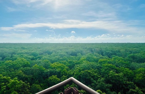 Playa Paraiso Apartment | Tulum Hotel Zone | Ocean View Rooftop + Beach Club Access, Couples & Family