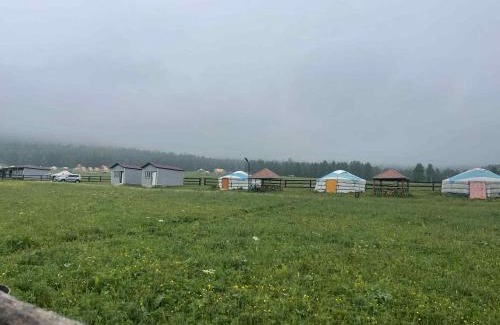 Mongolia Other | Tumee's campsite