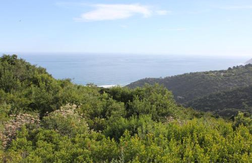 Wilderness House | TURACO HOUSE