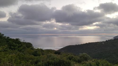 Wilderness House | TURACO HOUSE