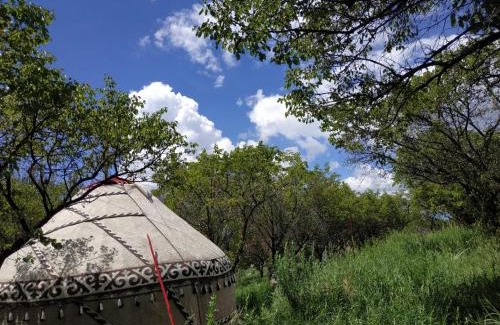 Issyk-Kul Region Bed & Breakfast | Turan Handmade Yurt with Heated Floors