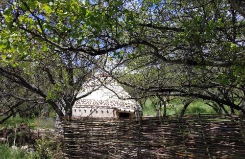 Issyk-Kul Region Bed & Breakfast | Turan Handmade Yurt with Heated Floors