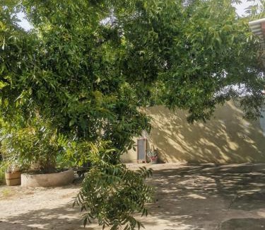 Chihuahua Apartment | turista MAYA