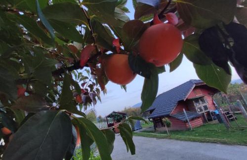 Dvor Apartment | Turistična kmetija Štupar