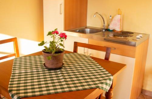 Zgornja Kungota Apartment | Turistična kmetija Vrezner Apartment