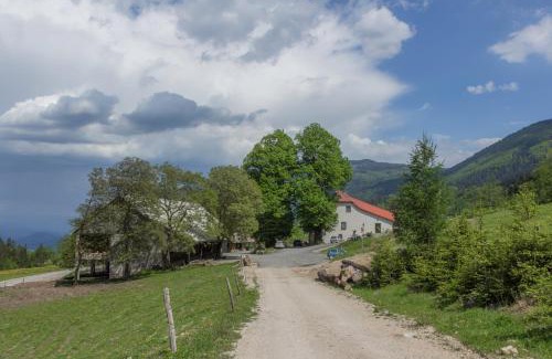 Gornji Grad House | Turistična Kmetija Toman
