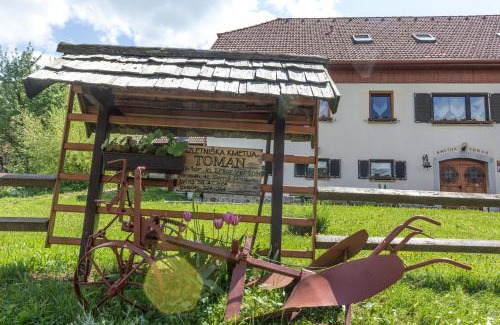 Gornji Grad House | Turistična Kmetija Toman