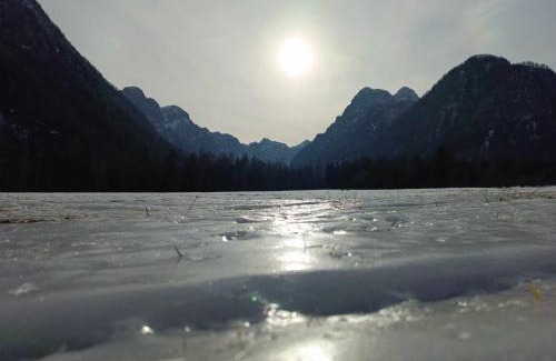 Mojstrana Apartment | Turisticna Kmetija Psnak