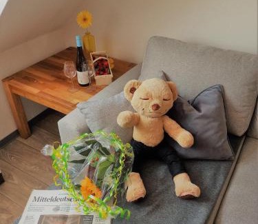 Coswig Apartment | Turmblick-Gaestequartier-Coswig-Hier-erwartet-Sie-individueller-Service-im-Herzen-der-Altstadt