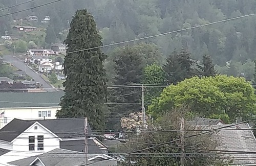 Clatskanie House | Turn of the Century Cottage Style home