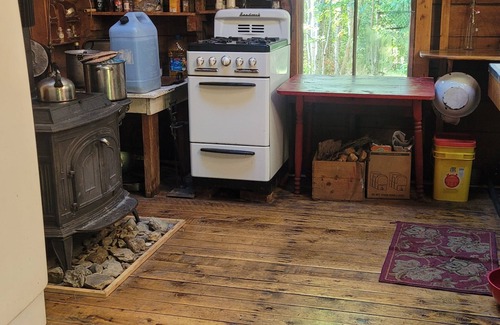 Forest CIty Cottage | Turn Of The Century Cabin On Private Island