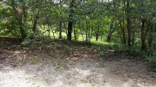Davis House | Turner Falls Park Villa