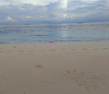 Dharavandhoo House | Turtle Inn Dharavandhoo