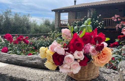 Casola in Lunigiana House | Tuscan Country House - Capanna dei muli