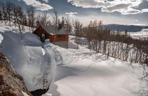 Are Municipality Villa | Tväråstugan