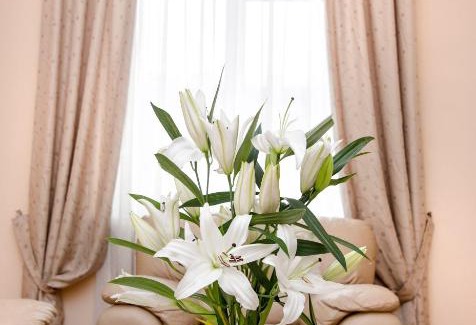 Central Administrative Okrug Apartment | Tverskaya Apartment