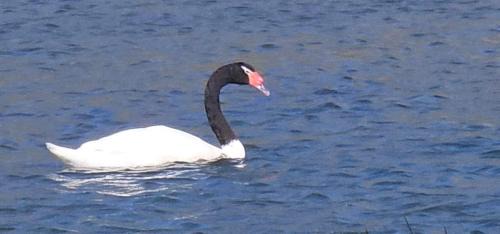Pichidangui House | Twin Brothers Pichidangui 1