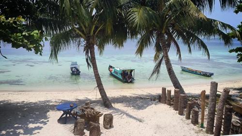 Sipura Island Hotel | Twin Palms Villa and Homestay