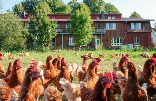 Schwerin Apartment | Twin Room 4 - turquoise - Holiday on the organic farm