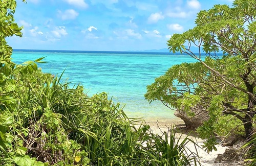 Kabira House | Twin room Morning and evening with two mea/Ishigaki Okinawa