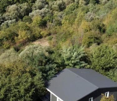 Kamenets-Podol'skiy House | TwinHouse "Family Estate"
