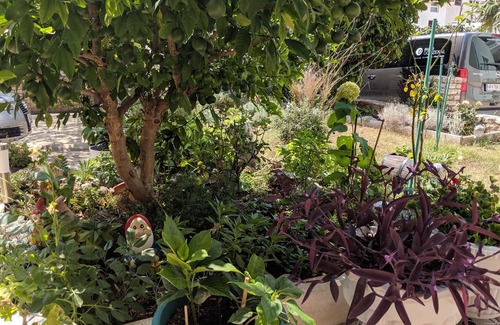 Vodice Apartment | Two bedroom apartment with terrace Vodice (A-18428-b)