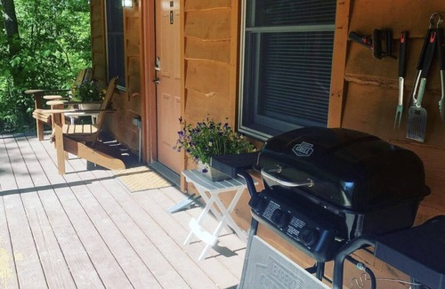 Wellston Cabin | Two Bedroom Cabin in the Heart of Manistee Forest #2