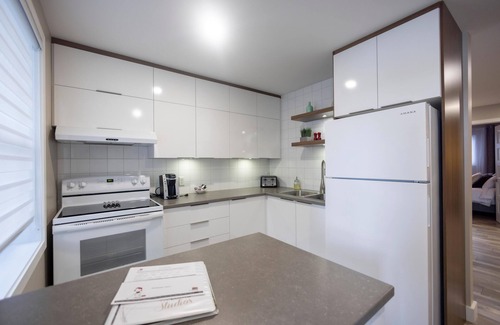 Rouyn-Noranda Apartment | Two-bedroom flat + sofa bed in the city centre (Le Court-toit)