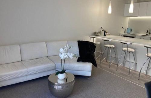 Remuera Apartment | Two Bedroom Guest House in Remuera Auckland