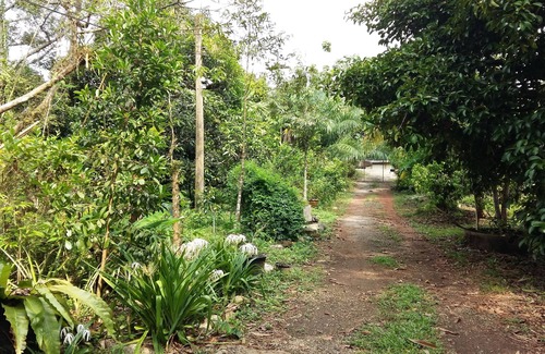 Laem Klat House | Two convenient air conditional cottages in fruit farm with durian, mangosteen