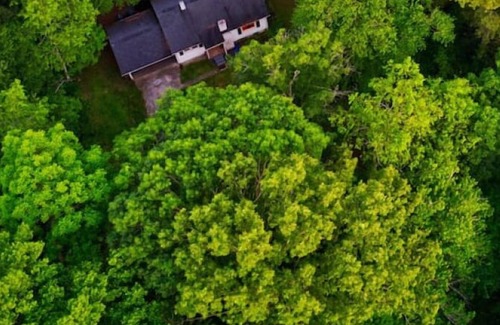 Candler House | Two Homes 15 mins to Asheville Hot Tub & Fire pit