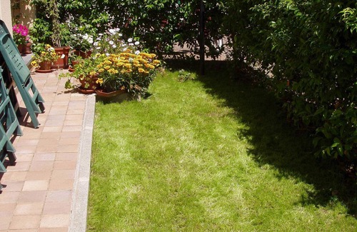 Pisa House | Two-room apartment 500 m from the airport