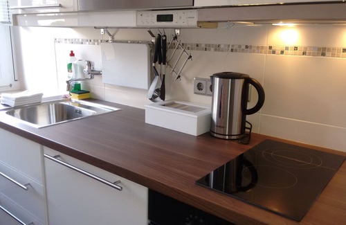 Leutzsch Apartment | Two room ground floor apartment wi-fi