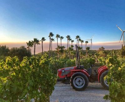 Urla Hotel | Two Rooms Hotel