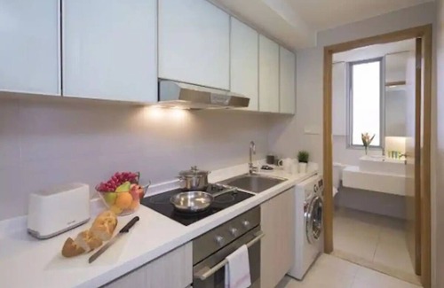 Downtown Singapore Apartment | Two-Storey 4 Bed Penthouse, Singaporenn