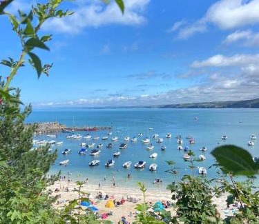 New Quay House | Ty Canol - Family Friendly Peaceful Cottage