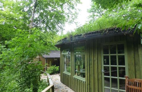 Pentrefelin House | Ty Cefn Tregib