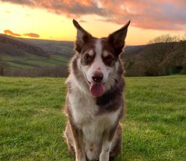 Brecon House | Ty Glo Cottage