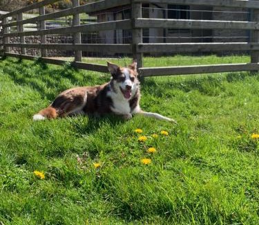 Brecon House | Ty Glo Cottage