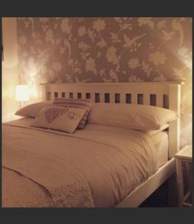 Llanbedr Hotel | Ty Mawr Hotel