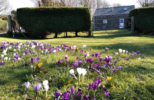 St Brides House | Ty r Pwmp