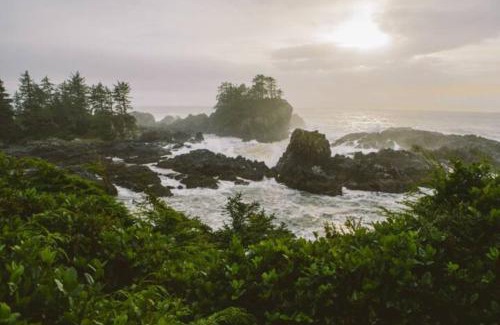 Ucluelet House | Tyee Retreat Cozy Lofted 1 Bedroom Cabin