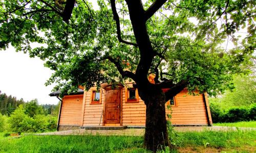 Tylicz House | Tylicki Stary Dom