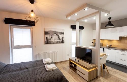 Szczawno-Zdroj Apartment | Tymon Apartament przy deptaku