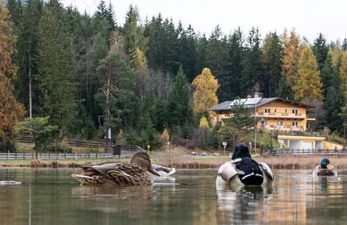 Seefeld in Tirol Apartment | Type B - 2 rooms - Landhaus water lily