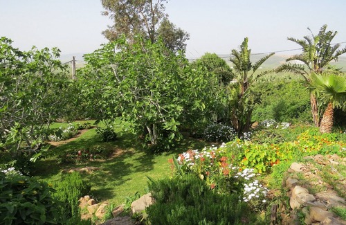 Mediar House | Typical country house 25kms from Tangier