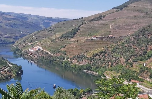Bomfim House | Typical house in the heart of the Douro