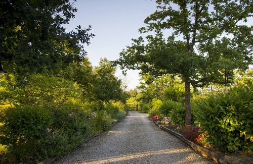 Monticiano Cottage | Typical Tuscan Cottage with swimming pool and park, five minutes from San Galgano